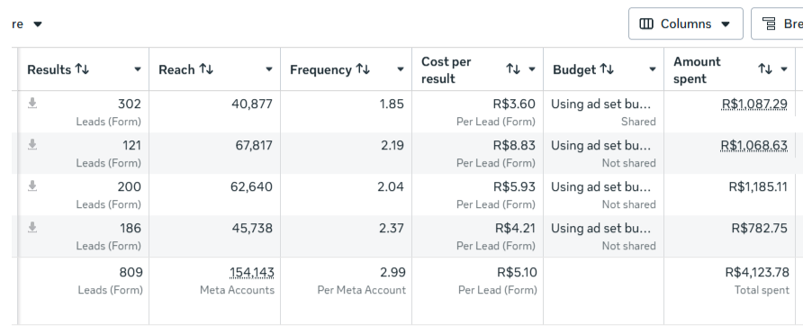 Meta Ads Manager — Campaign Performance — Case 02, Real Estate