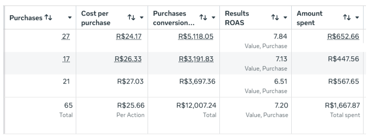 Meta Ads Manager — Campaign Performance — Case 03, E-commerce