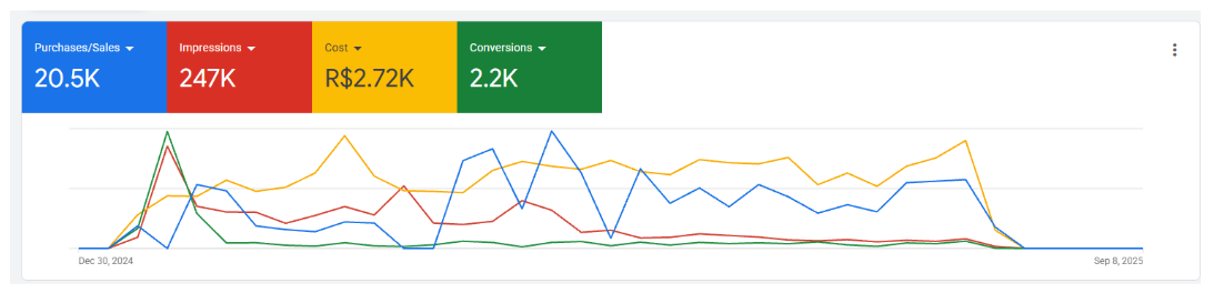 Google Ads — Campaign Performance — Case 06, E-commerce